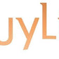 Guylian Seashells 500G Box